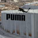 Boycott Puma day of action